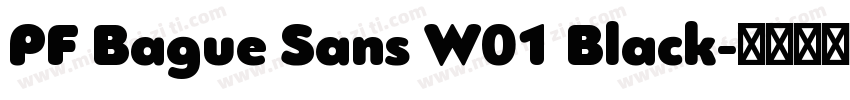PF Bague Sans W01 Black字体转换